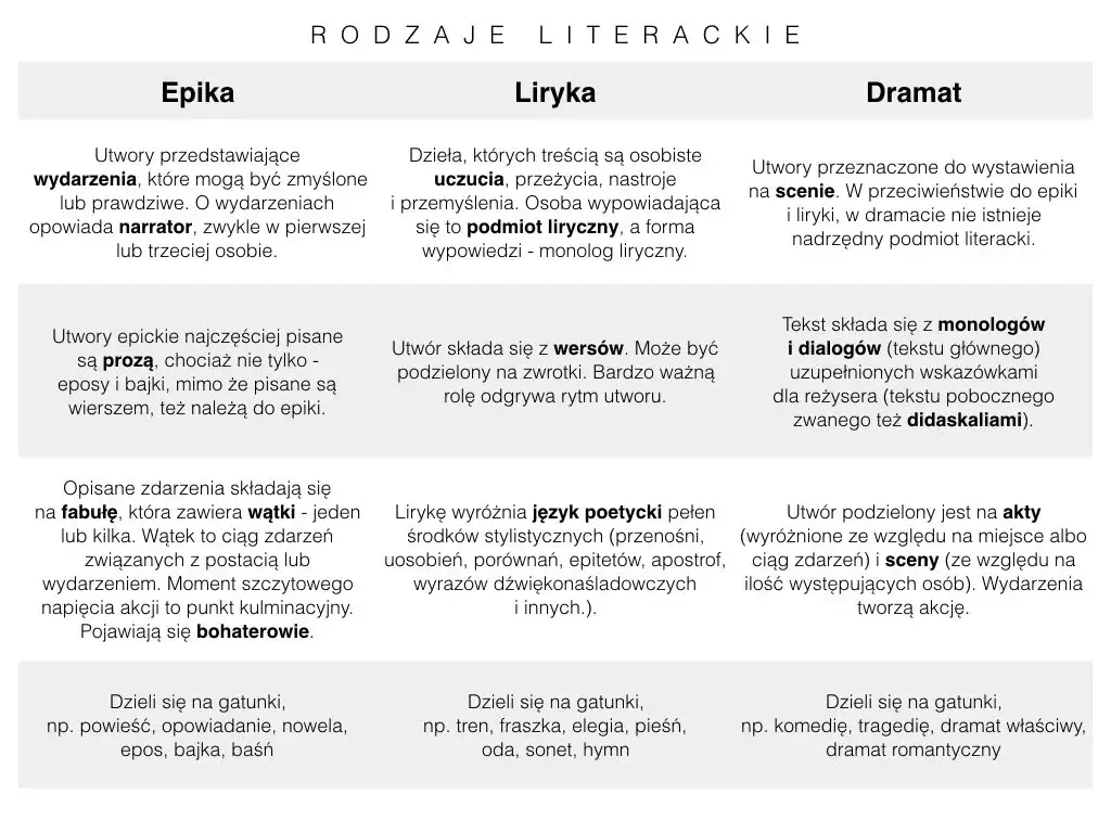 teoria literatury definicja infografika
